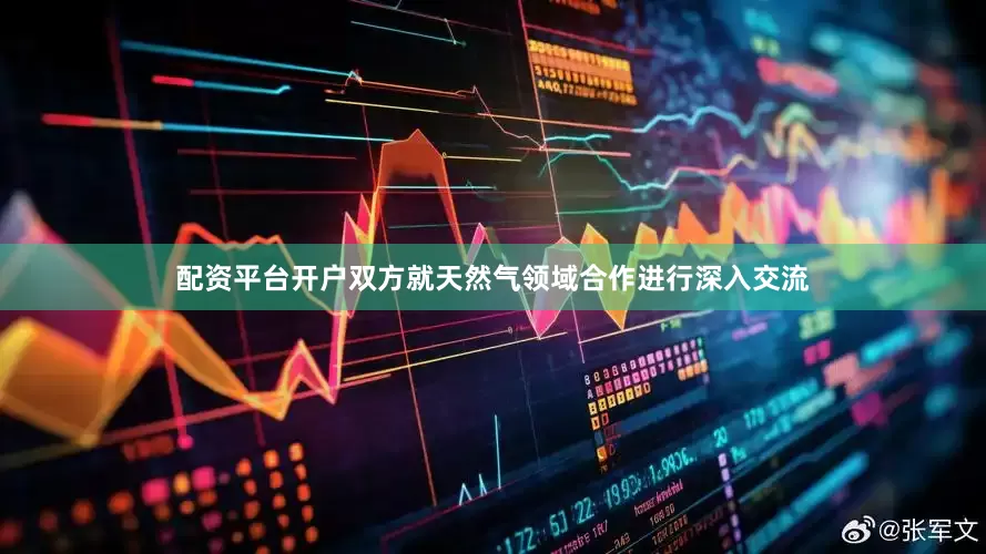 配资平台开户双方就天然气领域合作进行深入交流