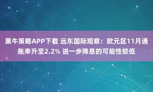 黑牛策略APP下载 远东国际观察：欧元区11月通胀率升至2.2% 进一步降息的可能性较低
